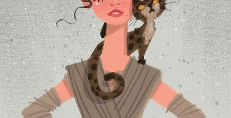 star wars characters and cats
