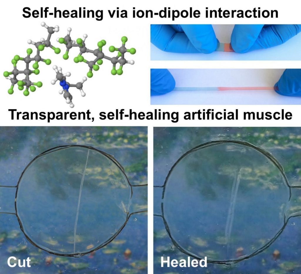 self-healing material